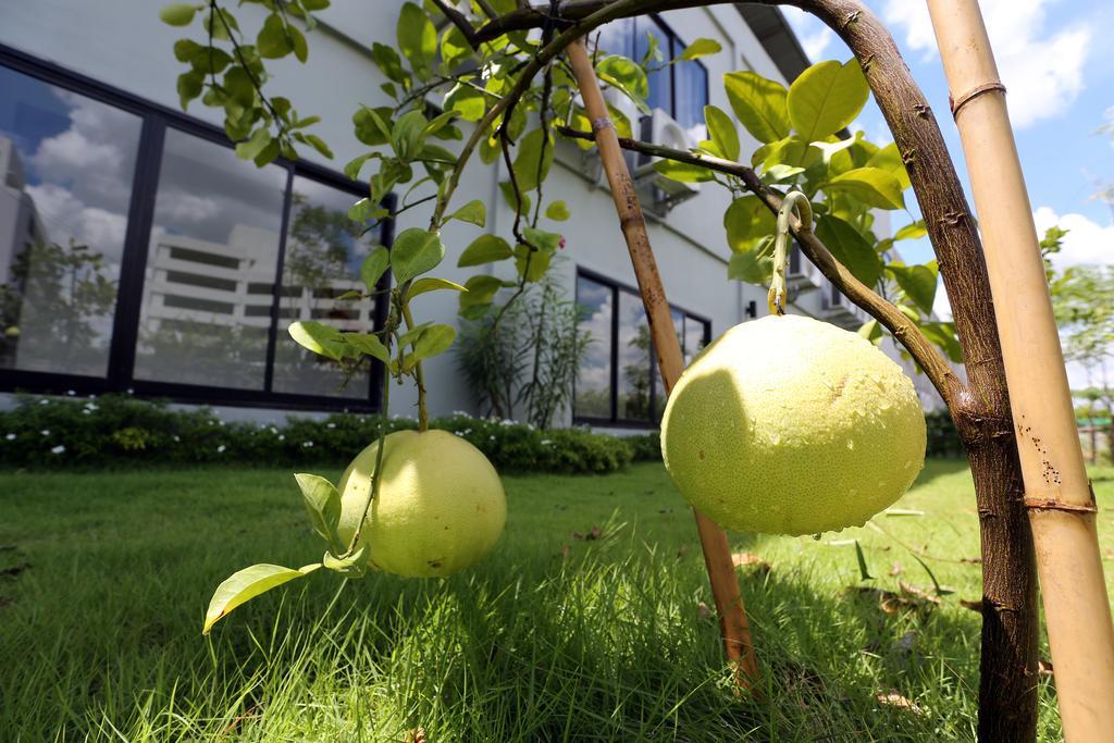 S Ratchada Leisure Hotel - Sha Plus Μπανγκόκ Εξωτερικό φωτογραφία Citrus ×sinensis